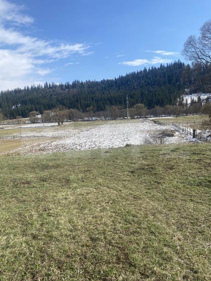 Teren intravilan de vanzare, 12.500 mp, zona Vatra Dornei, Podul Coșnei - 5
