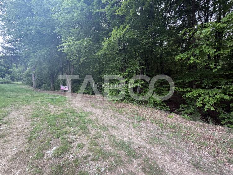 Teren intravilan 1000 mp front stradal 40 m langa Partia de Ski Dragus - 3