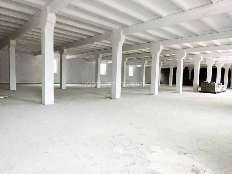 DE ÎNCHIRIAT: Hală industriala 1.000 mp Arad – etaj, acces auto și TIR - 3
