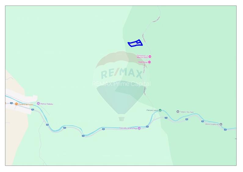 Teren 6700 mp, Apuseni, Pietroasa, Valea Aleului, Bihor, De Vânzare - 4