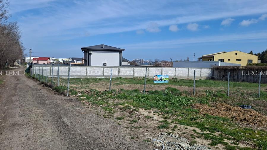 Teren de vanzare in Palazu Mare, Elvila - 973 mp - 3