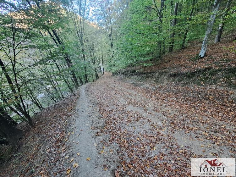 Vanzare casa cu 17399 mp teren Vintu de Jos - Valea Vintului