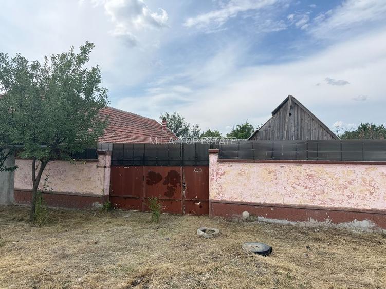 Casă de vânzare – Sântana - 19