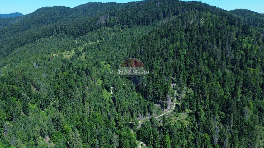 Teren 120.000 mp Sucevița – oportunitate de investiție în turism - 3