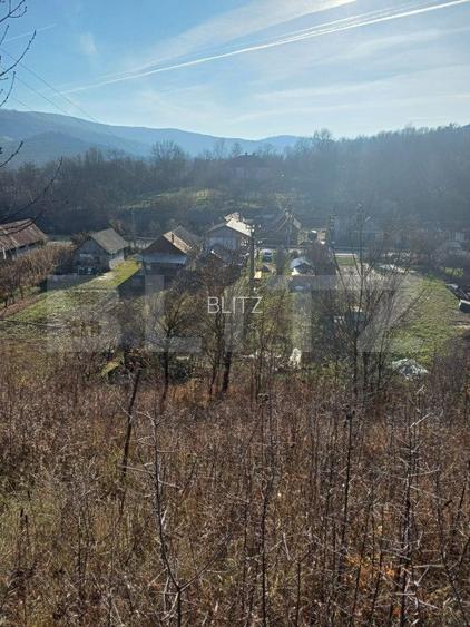 Casa + 20 arii  teren, distanta  30 km de Bistrita - 8