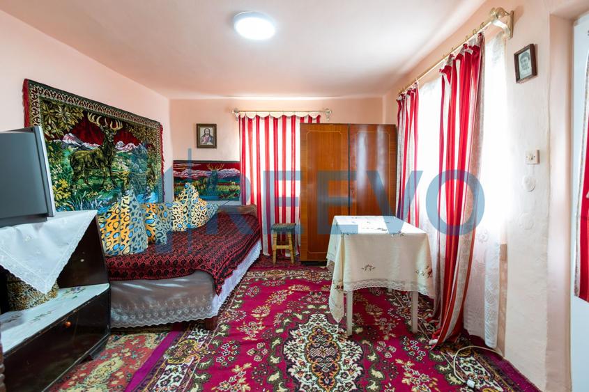 Casa si teren 3365mp Sascut