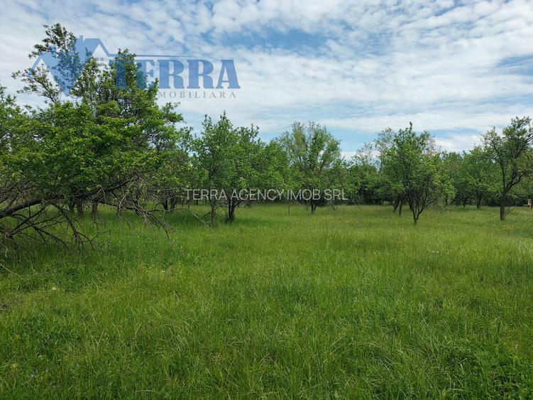 Casă cu teren de 2.300 mp și livadă în Rădești – Stâlpeni, Argeș - 6