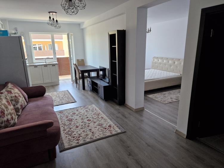 Apartament studio complex Sub Cetate Green Residence