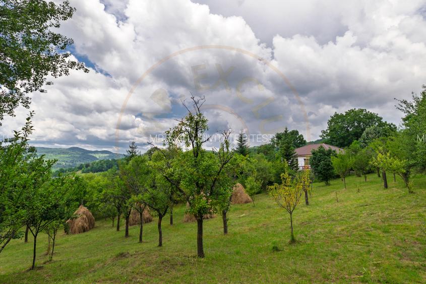 Casa moderna si casa bunicii + 6300 mp teren,Oaza autentica in Corbi Arges- - 17