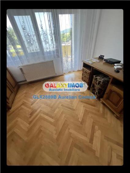 Vanzare casa superba 10 camere Olanesti-Vladuceni - 12