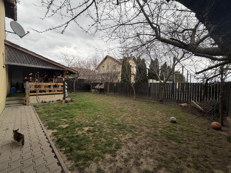 CASA INDIVIDUALĂ, 3 CAMERE, 110 MP, ORIZONT, ALBA IULIA