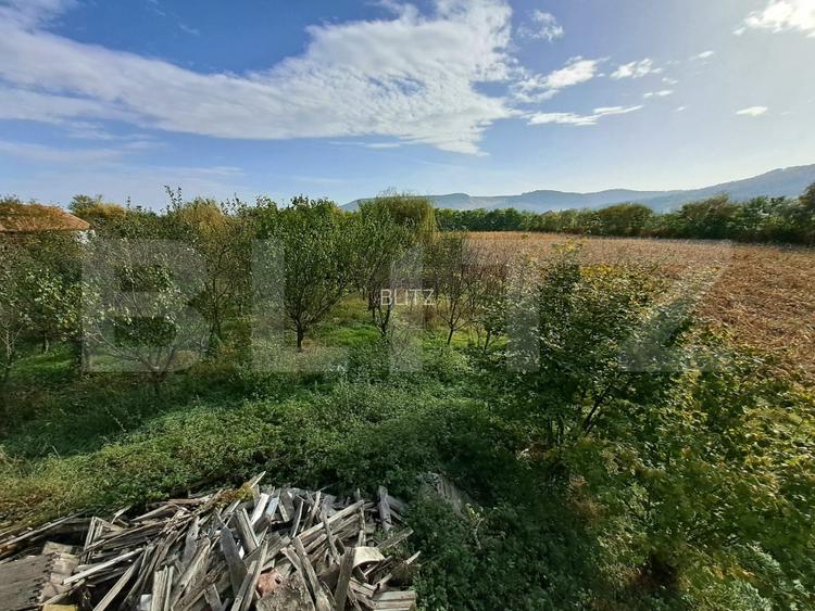 Teren intravilan de 18927 mp, Hala P+1 250 mp, Ocna Mures - 4