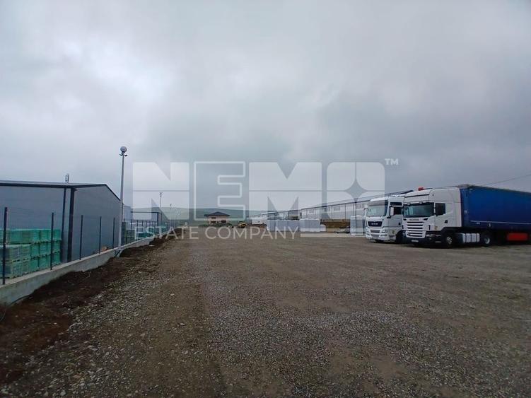 De Închiriat Teren I Scheia, Suceava I 6 EURO mp