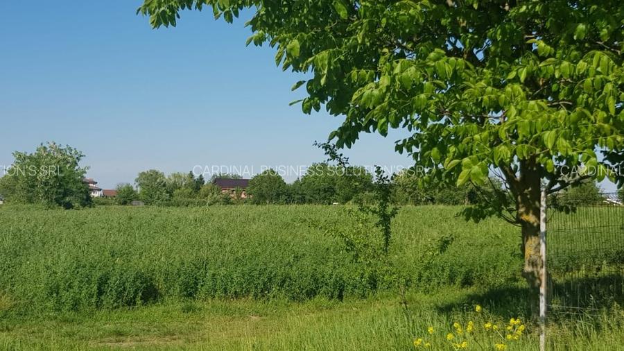 Ciolpani- Drumul Piscului patru loturi teren de la 896 mp pana la 977 mp - 8