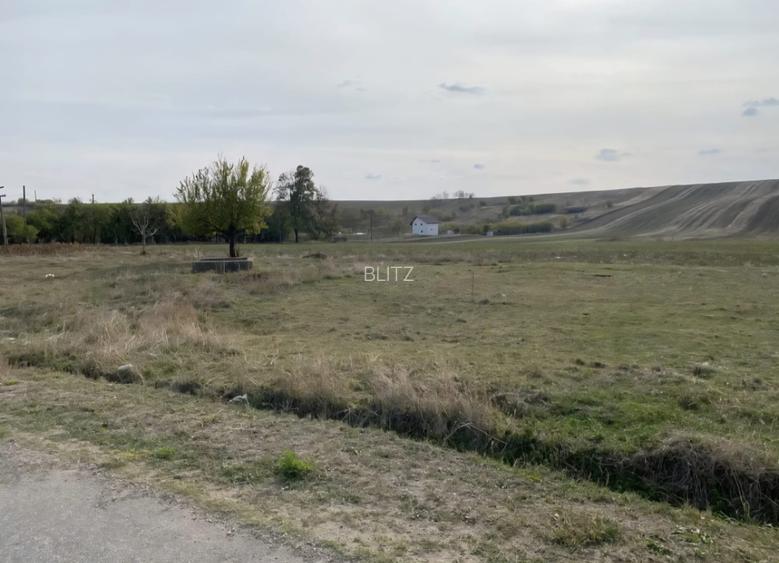 Teren extravilan 5000mp, Malu Mare, 0 comision la cumparator - 2