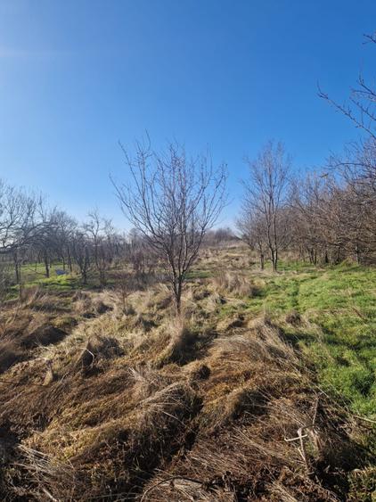 Teren 1528 mp cu casă de vânzare în centrul Gherceștiului — Investiție excelentă