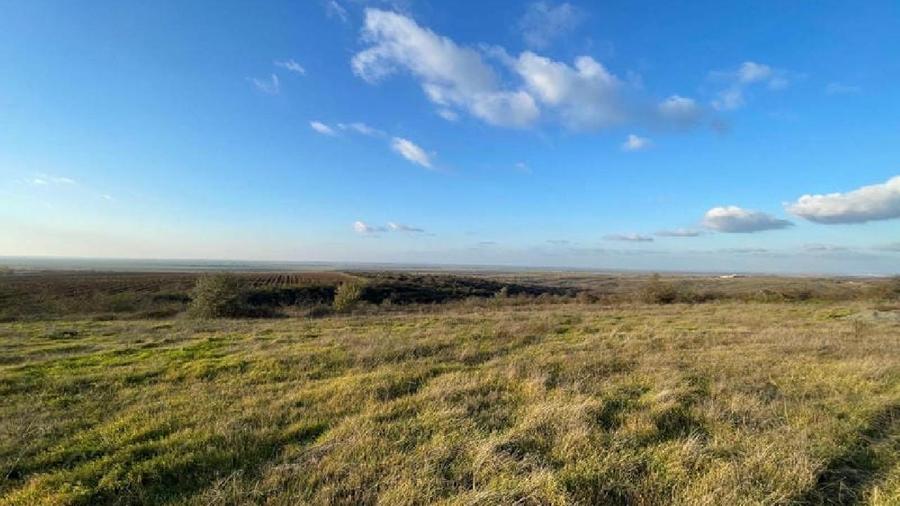 RASOVA Cochirleni Teren extravilan 38 Hectare comasat 100%