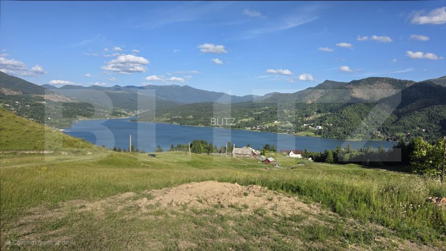 Teren intravilan, de vanzare, 5 hectare, zona Colibita - 3