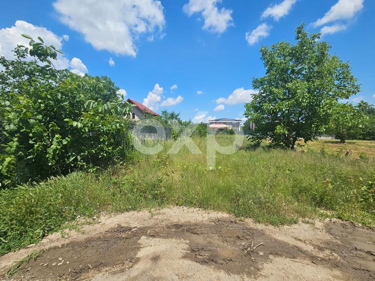 Tren de vanzare in Popesti-Leordeni 1000 mp