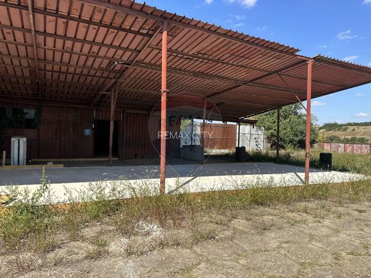 Spațiu industrial situat in apropierea Platformei Savinesti - 4