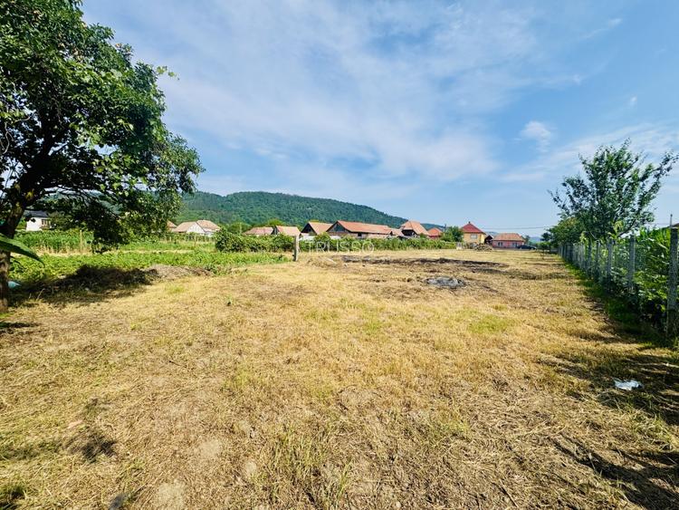 Proprietate cu gospodărie completă - teren 4300 mp – loc. Seica Mare - 15
