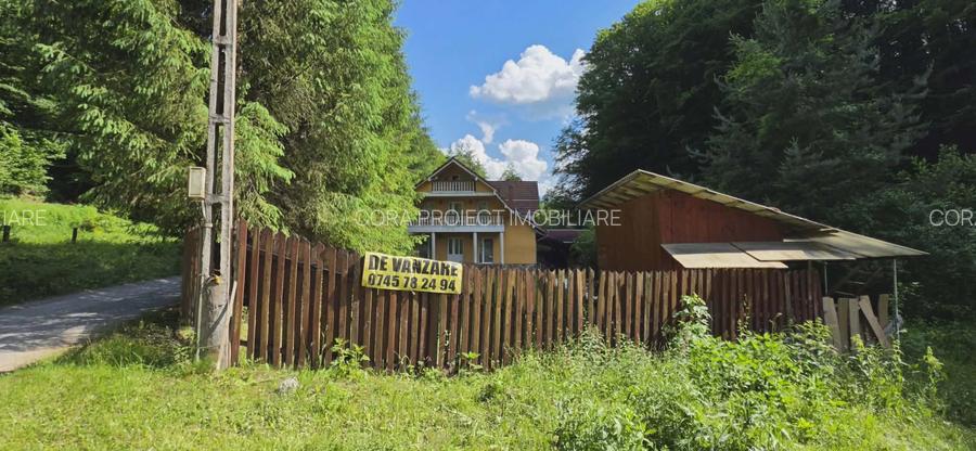 Casă/Pensiune,două imobile „într-unul singur” de vânzare,Bratca-CV0524 - 24