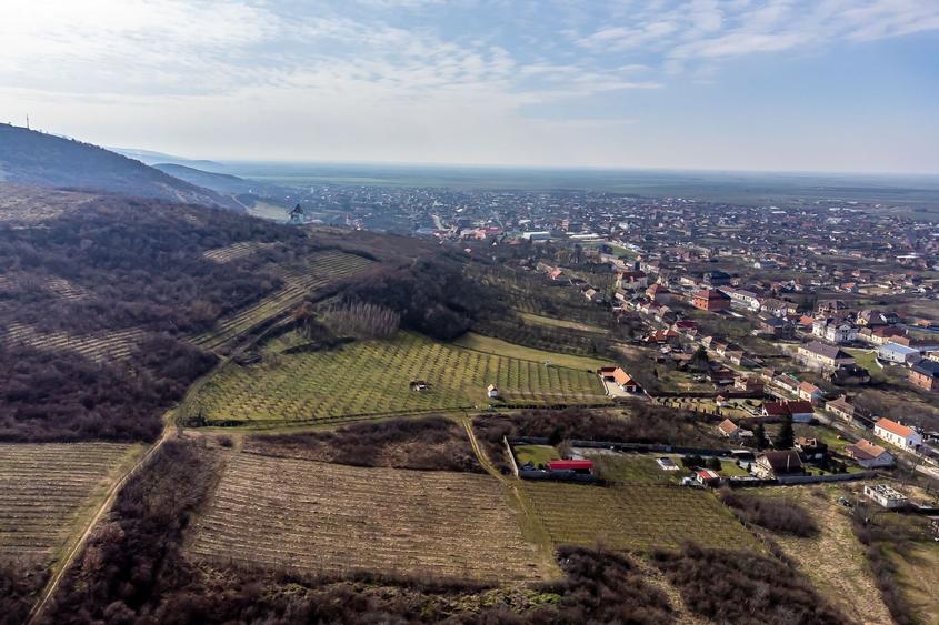 Teren intravilan în Șiria pe deal