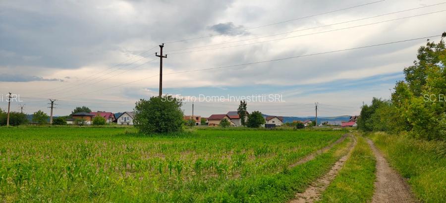 Teren cu sura in spatele caselor de pe str Andrei Saguna - 4