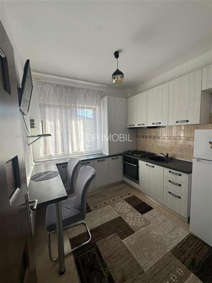 Inchiriere apartament cu 1 camera Decomandat, loc de parcare - Bucium - 3