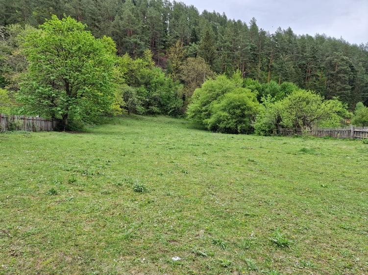 Teren intravilan 2936 mp. Bistrița jud Neamt