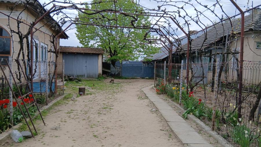 Casa de vanzare CELARU-APELE VII Dolj teren 8481 mp