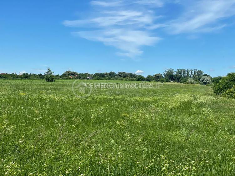 Teren intravilan 4.615mp, Podu Iloaiei, acces auto - 9