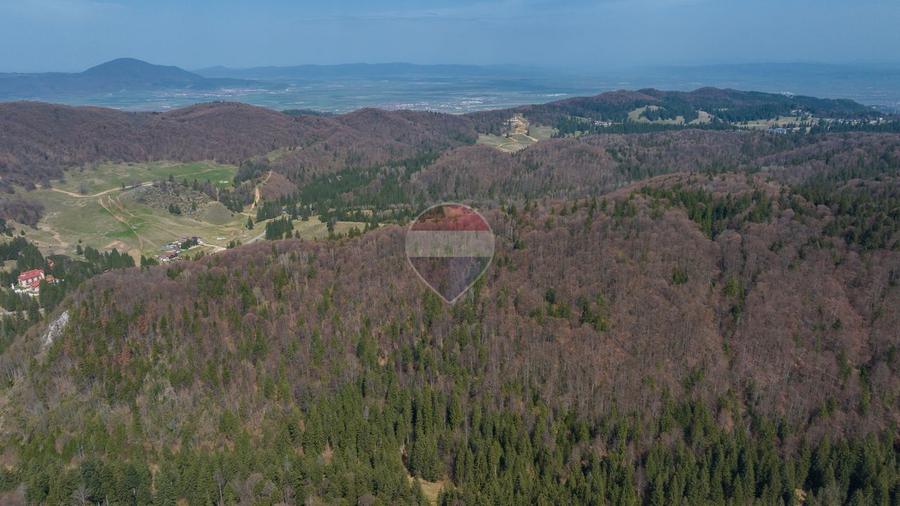 Teren intravilan, 56000 mp, Poiana Brașov