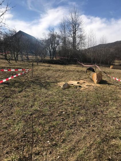 Teren de vanzare Baile Olanesti