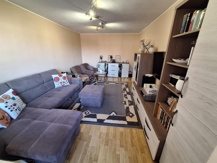 !! 3 Camere model mare.. zona Timocului-A. Saguna vedere spre Bega - 8