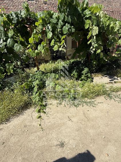 Casă veche în Bazos cu teren 1439 mp