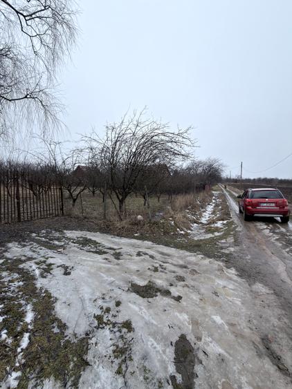 Teren intravilan in Zaicesti zona Conacului cu latura de padure