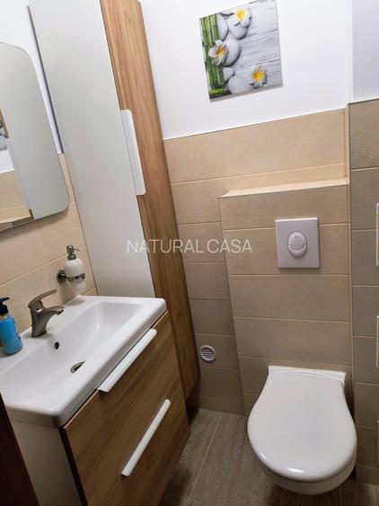 Casa individuala spatioasa, cu teren, Sura Mica - 8
