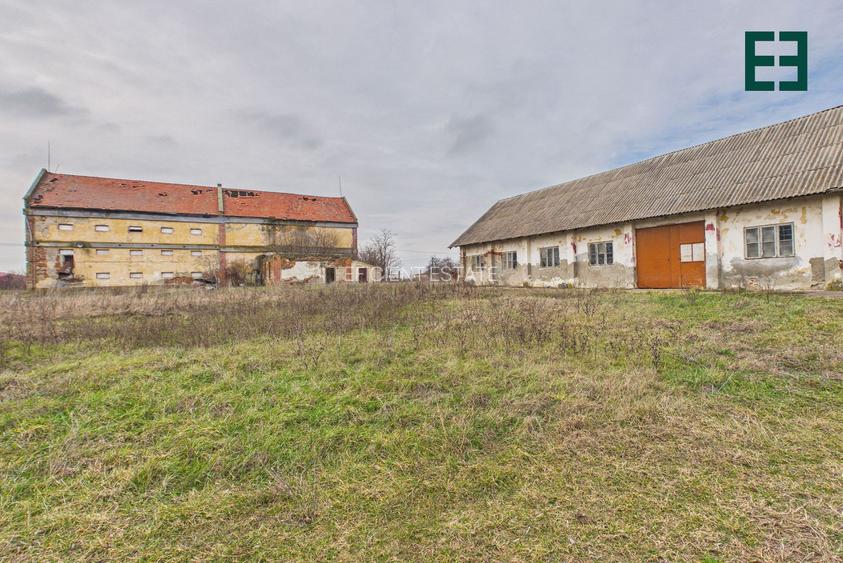 Teren de 8.632 mp + Proprietate Industrială - Voiteg - Județul Timiș - 24