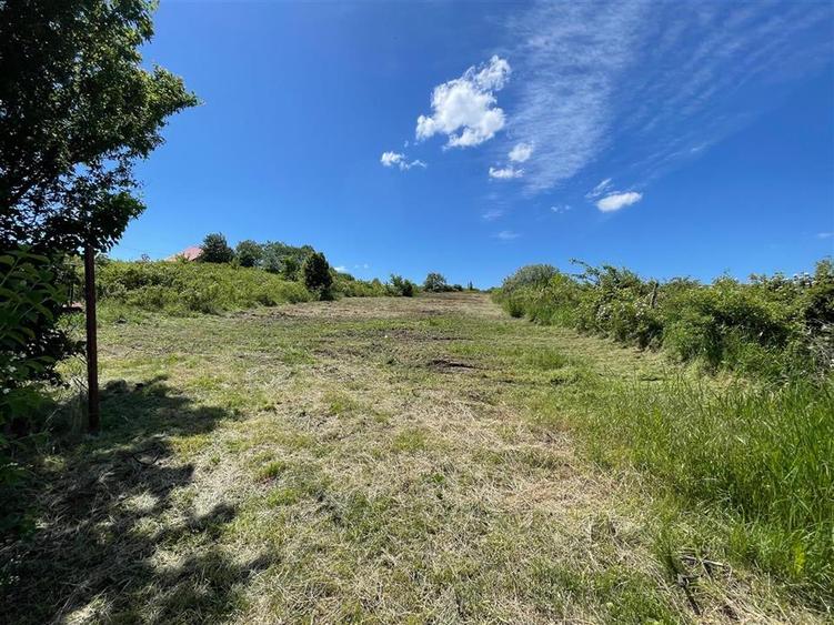 Ocazie! Visan TEREN 1616mp intravilan lot pt constructie casa