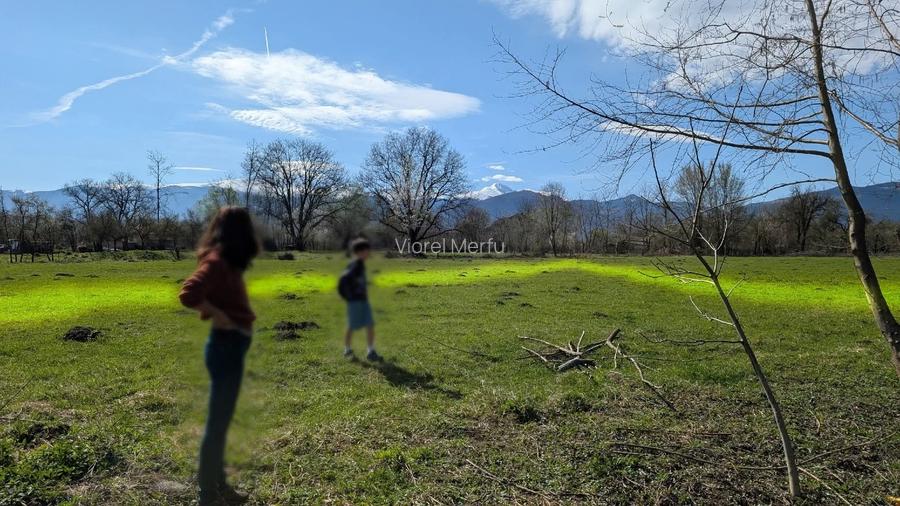 Teren intravilan 2.000 mp de vânzare – Cârnești, Țara Hațegului | vedere Retezat - 7