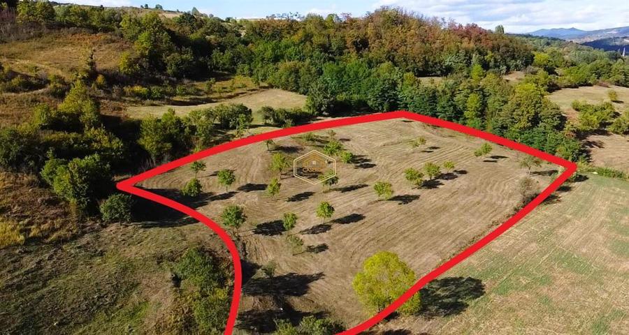 VIDEO | Super view | Teren 8.500 m² in Maramures | Viitorul tau colt de liniste