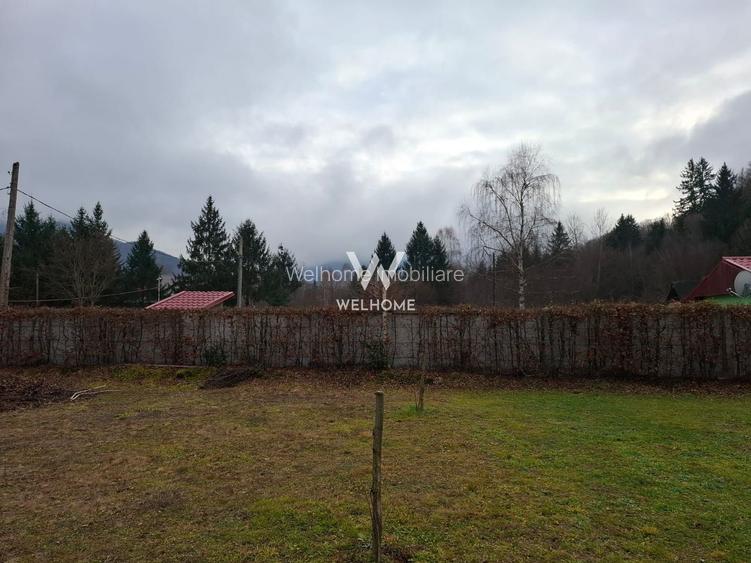 Teren deosebit pozitionat, cu livada, langa padure,  pe Valea Avrigului - 9