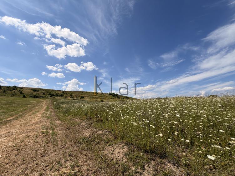 Teren 2900 m2 in Aiton ideal pentru investitie