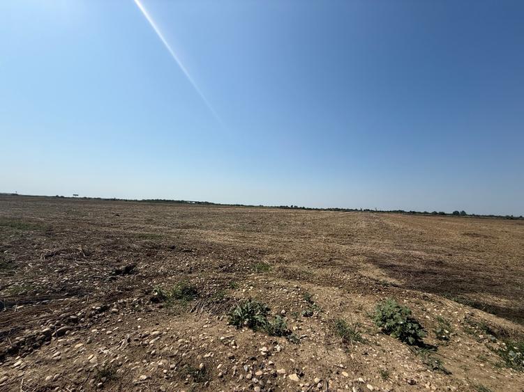 Vand teren autostrada Bucurest Pitesti A1 30000 mp (3ha) cu deschidere la A1