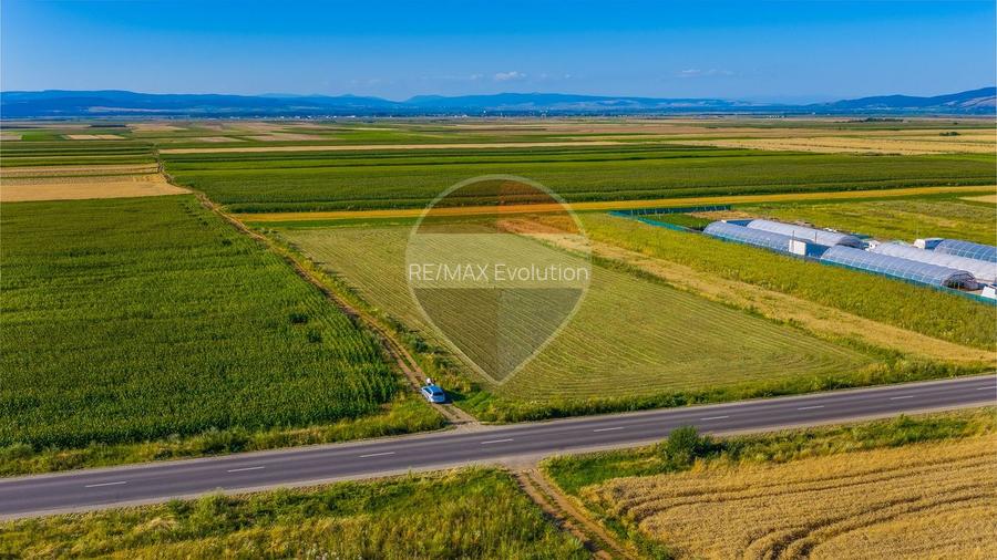 COMISION 0% | Teren intravilan 7.500 mp | Tarlungeni, Brasov - 3