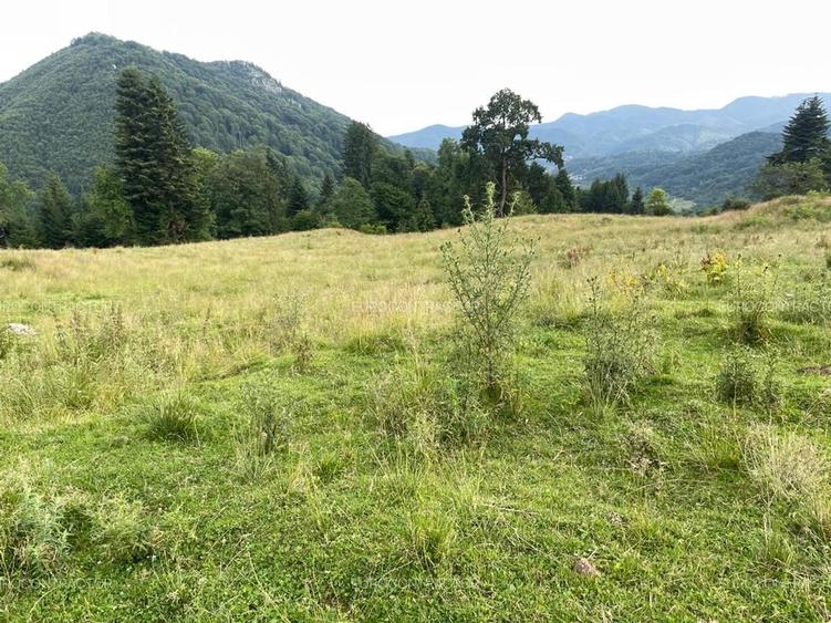 Teren Rasnov inntravilan PUZ) zona Parau Rece