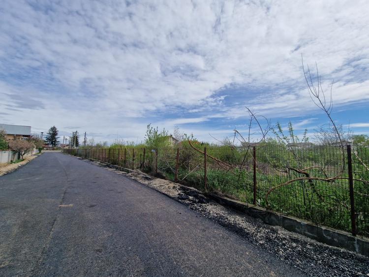 2 Loturi Teren Intravilan 1500 MP Tartasesti Deschidere 30 M / 36 M Utilitati