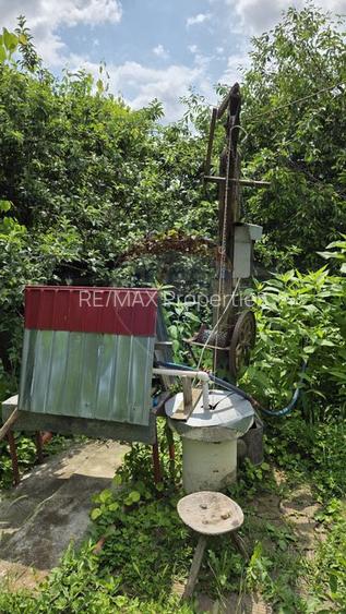Domeniu rural, gospodarie/multifunctionala cu casa, livada, vie - 26