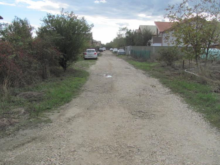 Cornetu - Taberei, Plopului